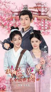 神医农女，买个相公来种田