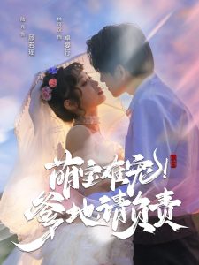 萌宝难宠！爹地请负责